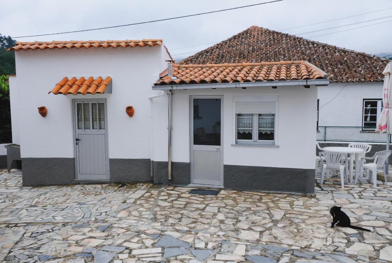Góis Casinha Da Eira 아파트 외부 사진